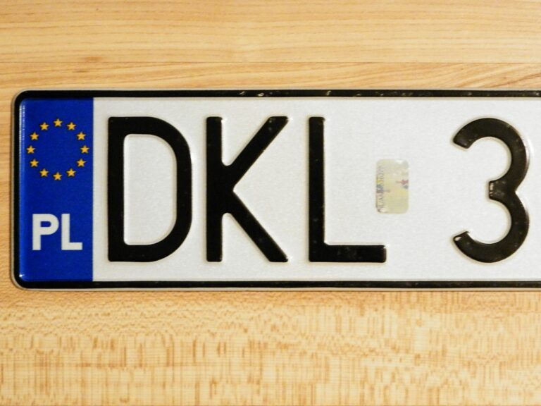 DKL rejestracja samochodu