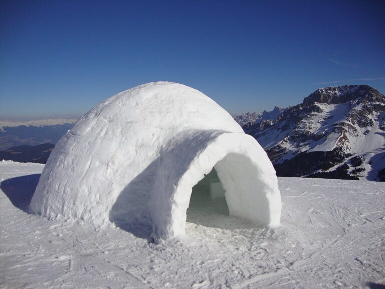 inuici buduja igloo